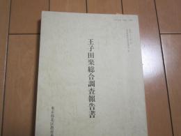 王子田楽総合調査報告書　-文化財研究紀要別冊第2集-