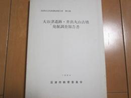 大谷津遺跡・井出丸山古墳発掘調査報告書　ー沼津市文化財調査報告書第５５集ー