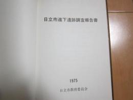 日立市遠下遺跡調査報告書
