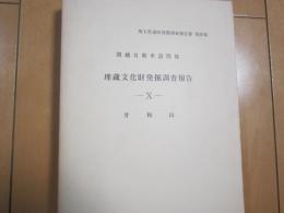 甘粕山　-関越自動車道関係　埋蔵文化財発掘調査報告　-Ⅹ-　埼玉県遺跡発掘調査報告書　第30集