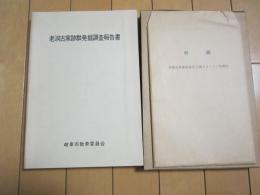 老洞古窯跡群発掘調査報告書　-付図付き-