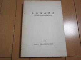 大枝山古墳群　-京都市埋蔵文化財研究所調査報告　第8冊-　1989