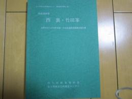 西裏・竹田峯　西裏遺跡群　-長野県佐久市岸野西裏・竹田峯遺跡発掘調査報告書-