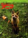 アニマ No.1 1973年4月創刊号　キタキツネ‐その野生の記録