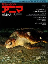 アニマ No.3 1973年6月号　アカウミガメ・カメ学入門