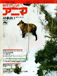 アニマ No.10 1974年1月号　ニホンカモシカ‐その冬の生活誌