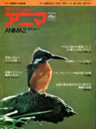 アニマ No.11 1974年2月号　後退していく愛らしき鳥、カワセミ
