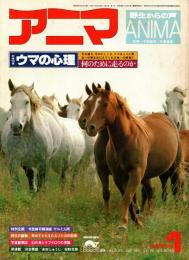 アニマ No.58 1978年1月号　ウマの心理-何のために走るのか