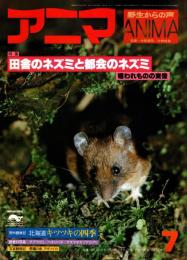 アニマ No.64 1978年7月号　田舎のネズミと都会のネズミ