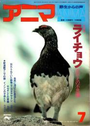 アニマNo.40 1976年7月号　ライチョウ-衣がえの不思議