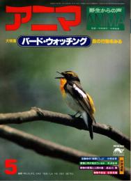 アニマ No.74 1979年5月号　バード・ウォッチング‐鳥の行動をみる
