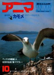 アニマ No.79 1979年10月号　カモメ‐コロニーのなりたち