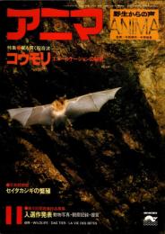 アニマ No.80 1979年11月号　コウモリ‐エコーロケーションの秘密