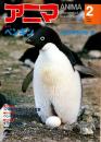 アニマ No.83 1980年2月号　ペンギン‐共同保育所の短い夏