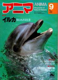 アニマ No.90 1980年9月号　イルカ‐知られざる生活