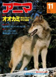 アニマ No.92 1980年11月号　オオカミ‐群れのおきてと狩りの戦略