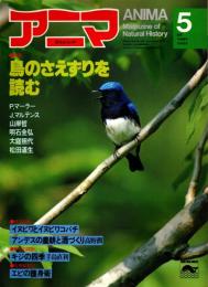 アニマ No.98 1981年5月号　鳥のさえずりを読む