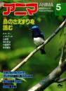アニマ No.98 1981年5月号　鳥のさえずりを読む