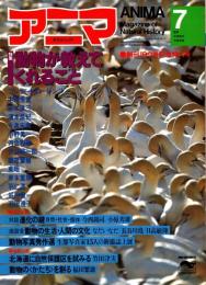 アニマ No.100 1981年7月号　動物が教えてくれること
