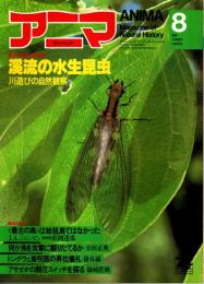 アニマ No.101 1981年8月号　渓流の水中昆虫