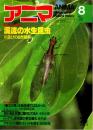 アニマ No.101 1981年8月号　渓流の水中昆虫