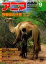 アニマ No.102 1981年9月号　牧畜民の世界
