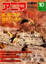アニマ No.103 1981年10月号　秋、鳥に何が起きているか