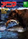 アニマ No.104 1981年11月号　ヒグマ‐森の王者はよみがえるか