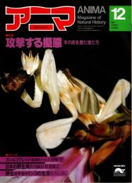 アニマ No.105 1981年12月号　攻撃する擬態