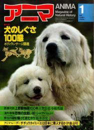 アニマ No.105 1982年1月号　犬のしぐさ100態-ボディランゲージ図鑑