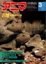 アニマ No.108 1092年3月号　ハゼ‐水底の愛きょう者