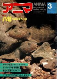 アニマ No.108 1092年3月号　ハゼ‐水底の愛きょう者 