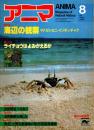 アニマ No.114 1982年8月号　海辺の観察-ヤドカリ・カニ・イソギンチャク