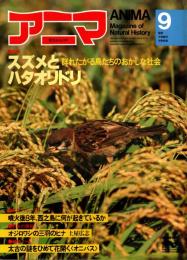 アニマ No.115 1982年9月号　スズメとハタオリドリ‐群れたがる鳥たちのおかしな社会