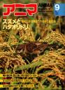 アニマ No.115 1982年9月号　スズメとハタオリドリ‐群れたがる鳥たちのおかしな社会