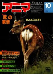 アニマ No.116 1982年10月号　「尻」の表情-顔よりもものを言う