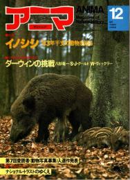 アニマ No.118 1982年12月号　イノシシ