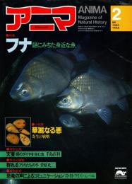アニマ No.120 1983年2月号　フナ‐謎に満ちた身近な魚