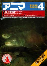 アニマ No.122 1983年4月号 「愛」の博物誌-男と女・雄と雌　