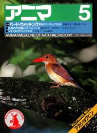 アニマ No.123 1983年5月号　バード・ウォッチング‐野鳥のサンクチュアリを歩く