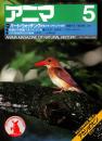 アニマ No.123 1983年5月号　バード・ウォッチング‐野鳥のサンクチュアリを歩く