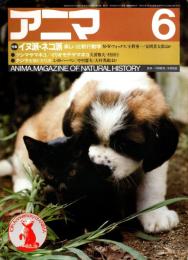 アニマ No.124 1983年6月号　イヌ派ネコ派-楽しい比較行動学