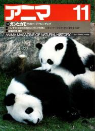 アニマ No.129 1983年11月号　ガンとカモ‐冬のバード・ウォッチング