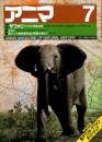 アニマ No.137 1984年7月号　サファリ‐アフリカ・野生の旅　