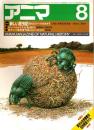 アニマ No.138 1984年8月号　新しい昆虫記‐現代のファーブルをめざす