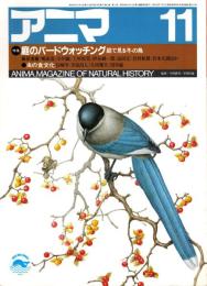 アニマ No.141 1984年11月号　庭のバードウォッチング‐庭で観る冬の鳥
