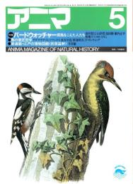 アニマ No.147 1985年5月号　バードウォッチャー・探鳥をこえた人たち