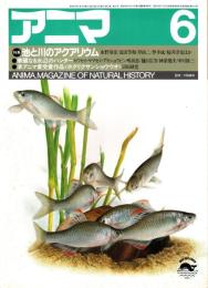 アニマ No.148 1985年6月号　池と川のアクアリウム
