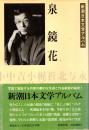 泉鏡花　新潮日本文学アルバム22