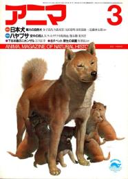 アニマ No.171 1987年3月号　日本犬-魅力の自然犬
